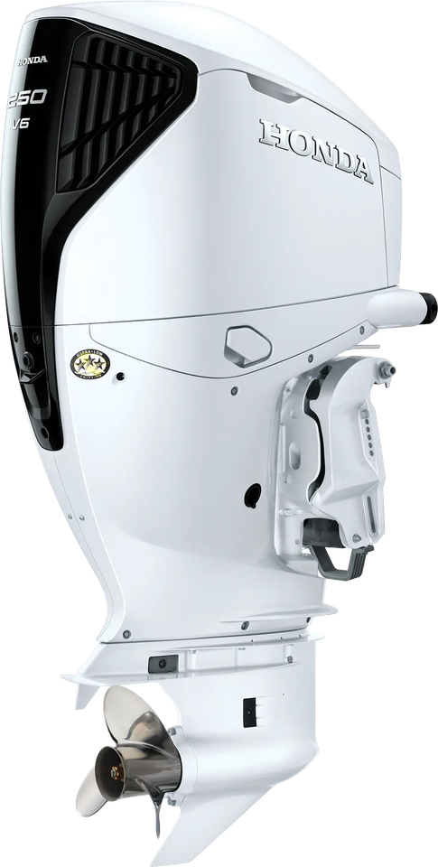 Motor fuera de borda Honda BF250 DBW